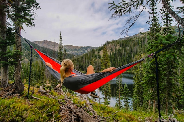 Immersed in Tranquility: Embracing Nature's Beauty from the Hammock Haven
